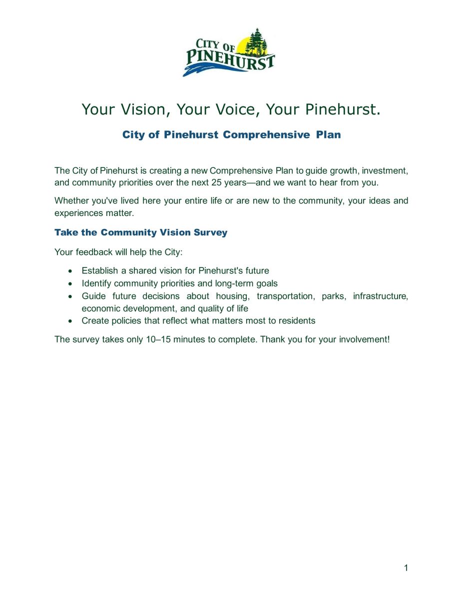 Comprehensive Plan Flyer